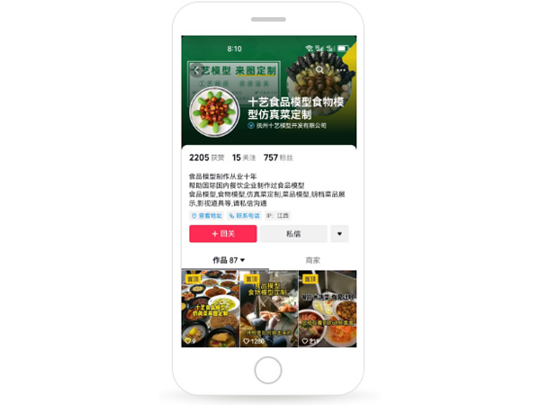 食品模型行业案例